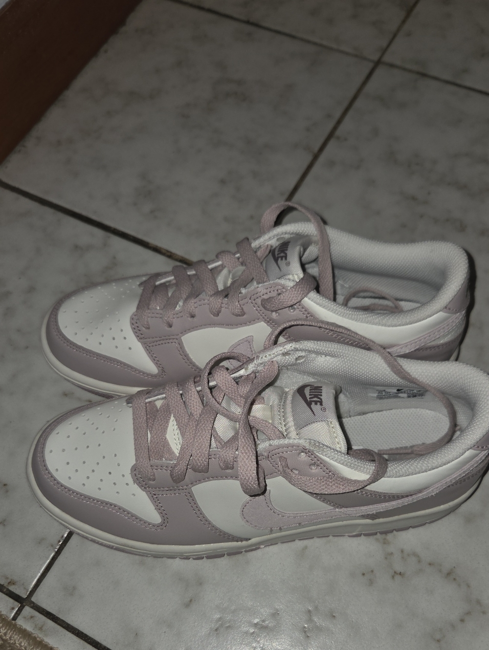 Nike Dunk Women Size 8